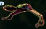 Alexander's bird-of-prey.
