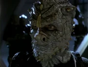 A Gamma Jem'Hadar