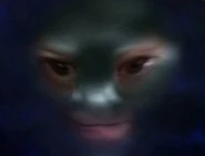 Nagilum.jpg (12 KB) Nagilum.