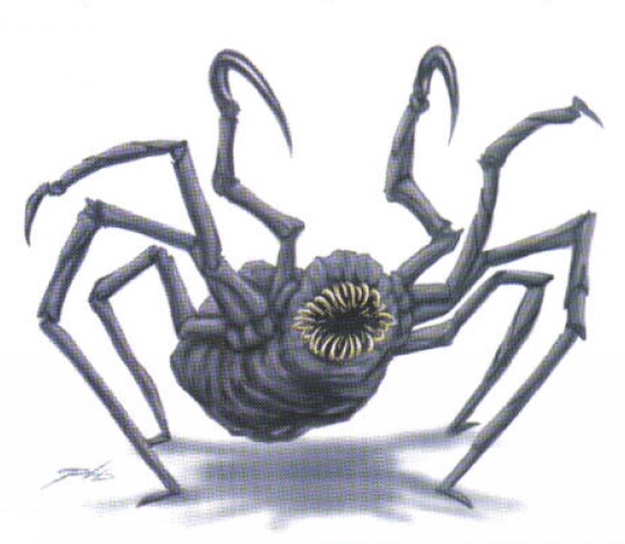 Arachnid - Wikipedia