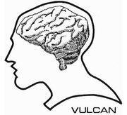 Vulcan brain diagram