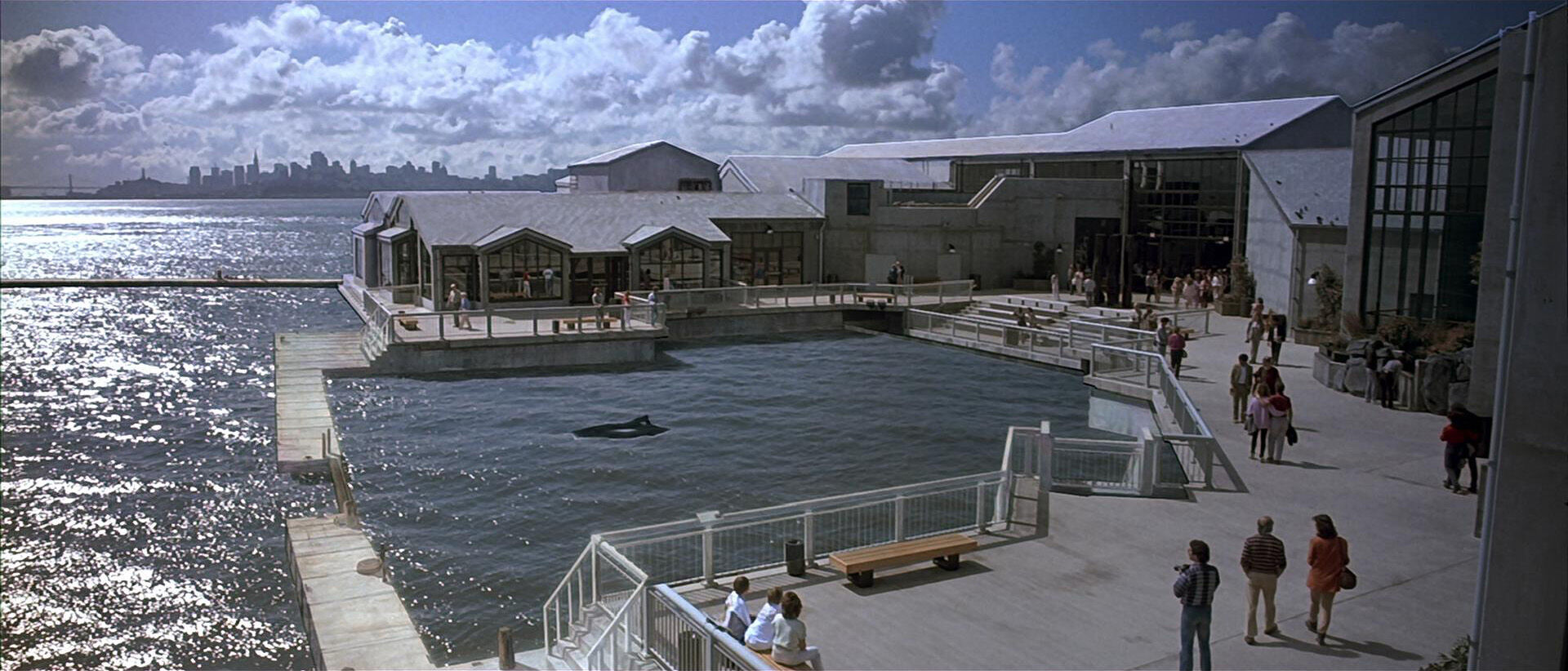 Cetacean Institute.jpg