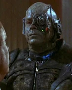 Lynch-drone..jpg (16 KB) Timothy Lynch.