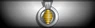 Sleeve insignia.