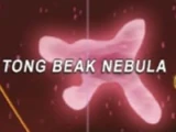 Tong Beak Nebula