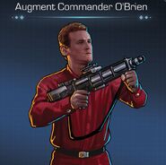 Augment O'Brien
