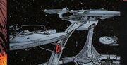 Federation delegation ships