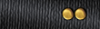 Collar rank insignia image.