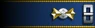 Sleeve insignia.