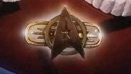 Starfleet badge.