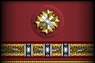 Sleeve insignia.