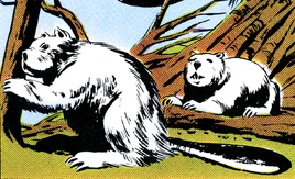 GK54-Plutonian snow-beavers