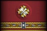 Sleeve insignia.