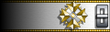 Uniform lapel rank insignia image.