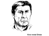 Krox vestai Drexa