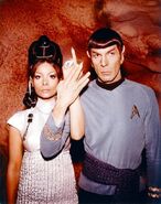 Spock.TPring.TOS