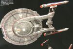 NX-01 ventral