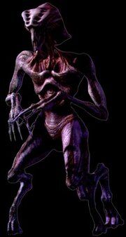 Species84722.jpg