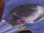 VoyagerMosaic.jpg
