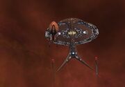 Procyon 5 Enterprises