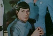 Spock peter pan 15