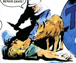 Bruno found Bradley dead.