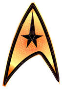 Enterprise cmd insignia