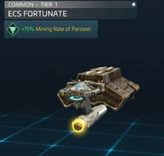 ECS Fortunate.jpg (39 KB)