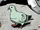 PigeonTLS1NYCC02.jpg