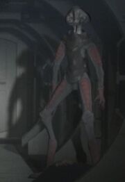 One of the "Shroomies".