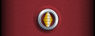 Sleeve insignia.