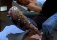 Dax symbiont.jpg (32 KB) Dax symbiont.