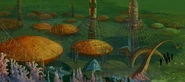 An Aquan city