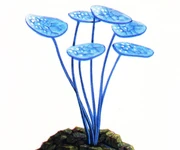 Talosian singing plant