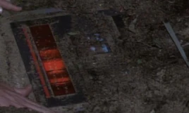 Duonetic field generator