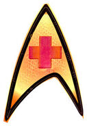 Enterprise med insignia