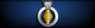 Sleeve insignia.