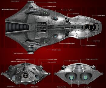 Palisade class ortho