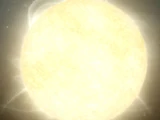 Tephrei