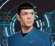 SpockIDWSNW3B.jpg (289 KB) Spock.