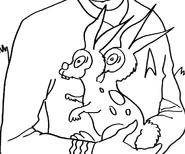 A bicephalic rabbit.