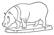 Hippopotamus.