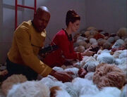 Tribble scan