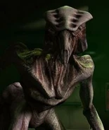 Species 8472.