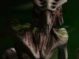 Species 8472