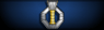 Sleeve insignia.