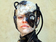 Seven Borg