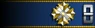 Shoulder insignia.