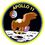 Apollo 11 patch icon image.