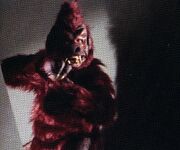 Anthropoid ape